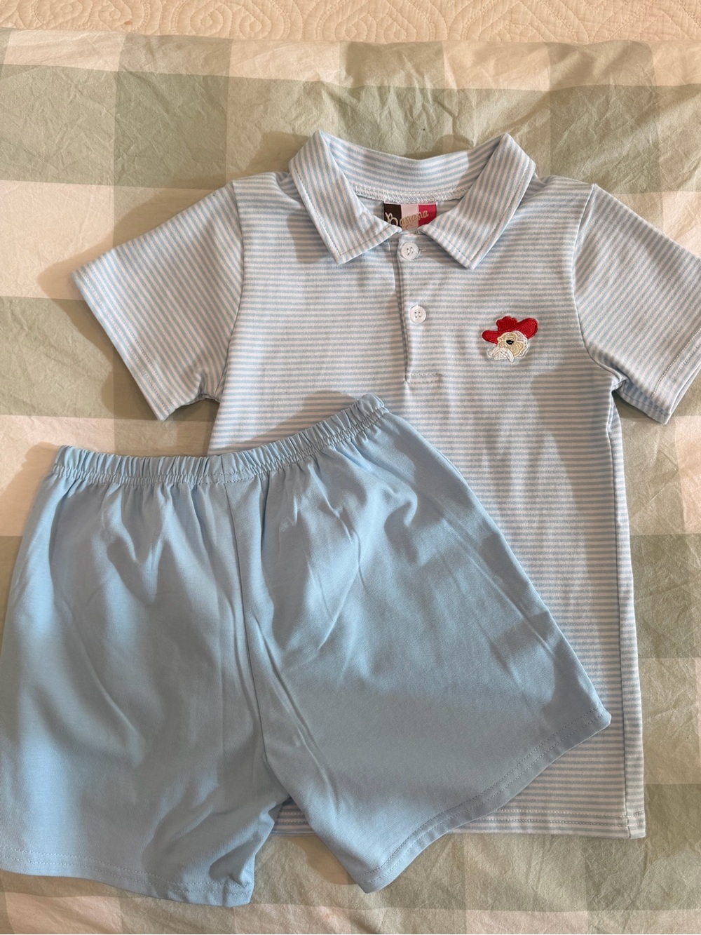 Kids Light Blue Polo & Shorts Set with Rebel embroidery